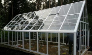 Стекло или поликарбонат — какой материал выбрать для теплицы |